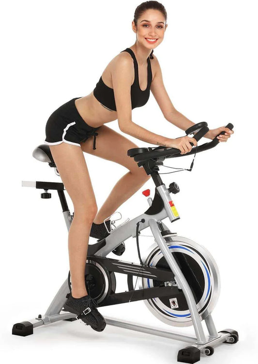 Heavy Duty Domestic Spin Bike (Crystal / Ancheer SJ-3373)